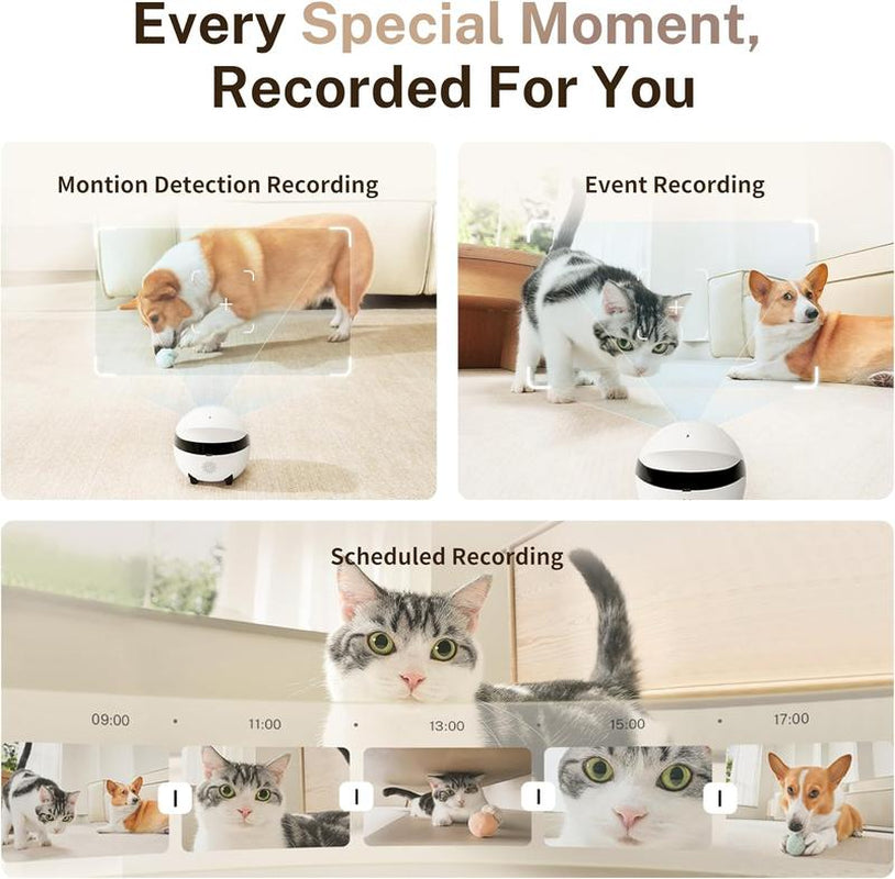 Enabot EBO 2K Camera Robot ROLA Mini Movable Pet Camera Battery-Powered with Phone App Indoor Cam W One-Touch Call 2-Way Talk Night Vision Motion Detection Video Recording Robot Dog